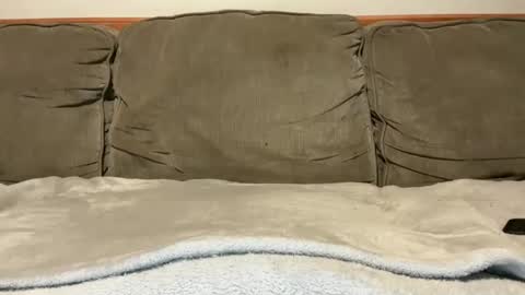 Snapshot of blondiedicks1 chatting on 09-16-25, 01:12 blondiedicks1 online show from 09-16-25, 01:12