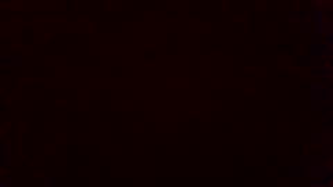 bluegum00 online show from 11-04-25, 09:41