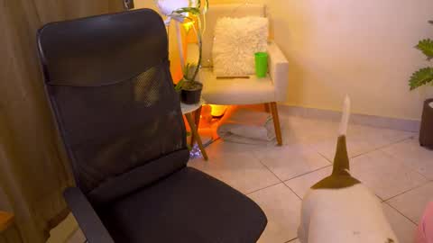 FLORAA online show from 02-19-26, 01:18