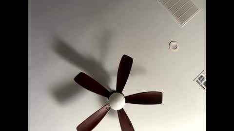 blueskyy56 online show from 01-13-26, 05:40