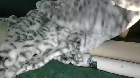 Snapshot of blyss666 chatting on 10-28-25, 09:39 lyss online show from 10-28-25, 09:39