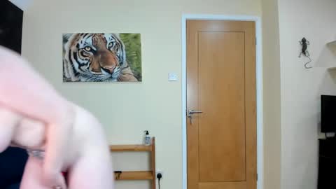 to see lou offline  online show from 12-07-24, 11:18