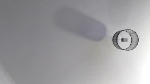 Snapshot of bobby160968 chatting on 11-19-25, 07:03 bobby160968 online show from 11-19-25, 07:03