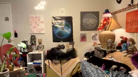 Snapshot of bobbyq2969 chatting on 11-13-25, 03:38 bobbyq2969 online show from 11-13-25, 03:38