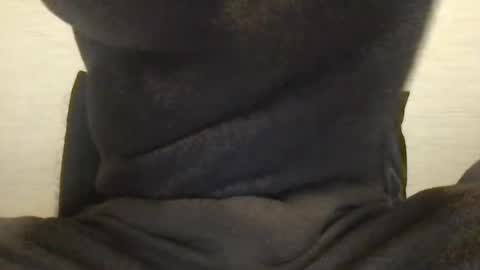 Snapshot of boblight221 chatting on 01-09-25, 09:58 boblight221 online show from 01-09-25, 09:58