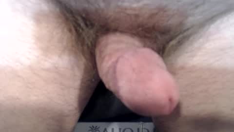 Snapshot of bobswan chatting on 12-22-24, 03:55 bobswan online show from 12-22-24, 03:55