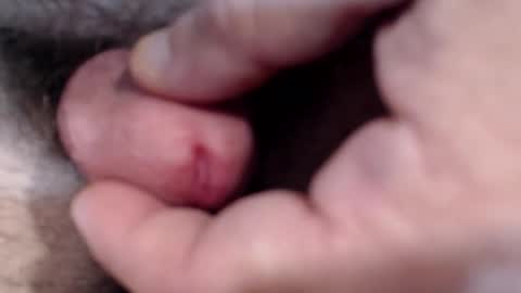 Snapshot of bobswan chatting on 01-29-25, 03:04 bobswan online show from 01-29-25, 03:04