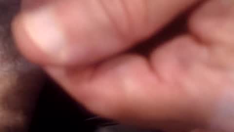 Snapshot of bobswan chatting on 09-09-25, 09:58 bobswan online show from 09-09-25, 09:58