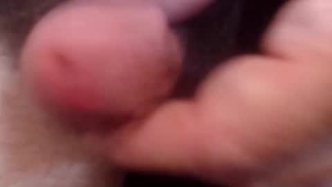 Snapshot of bobswan chatting on 10-21-25, 06:52 bobswan online show from 10-21-25, 06:52