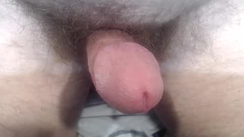 Snapshot of bobswan chatting on 10-24-25, 03:41 bobswan online show from 10-24-25, 03:41