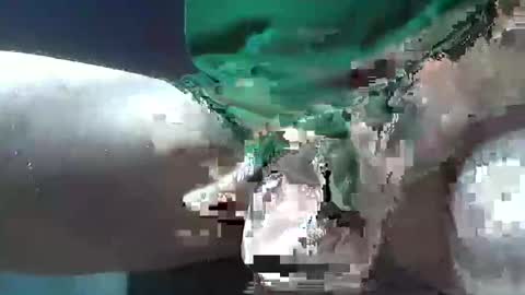 bogey58 online show from 12-08-24, 02:09