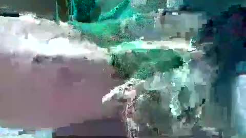 bogey58 online show from 02-12-25, 04:11