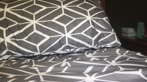 Snapshot of boldlust chatting on 12-11-24, 02:52 boldlust online show from 12-11-24, 02:52