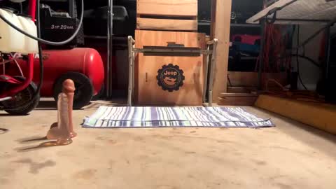 FRECKLES online show from 01-16-25, 01:37