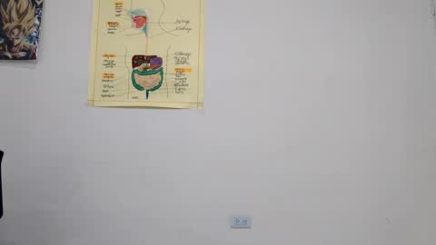 Boner Steve online show from 09-14-25, 03:49