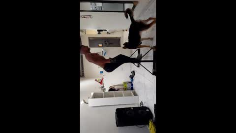 Boner Steve online show from 11-03-25, 07:26