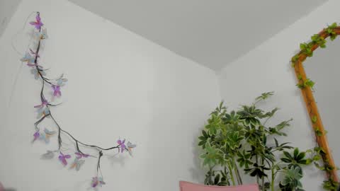   online show from 02-01-26, 12:53