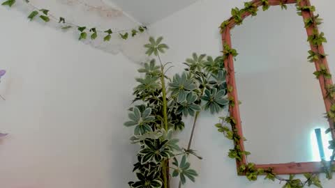   online show from 03-19-26, 11:53