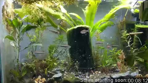 Booker Baxton online show from 11-04-25, 04:00