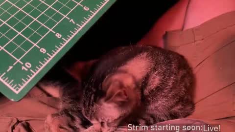 Booker Baxton online show from 12-20-25, 04:08