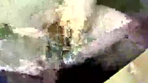 bossram160 online show from 09-17-25, 08:21