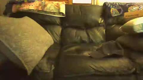 Snapshot of bostonguy1969 chatting on 01-15-25, 01:02 bostonguy1969 online show from 01-15-25, 01:02