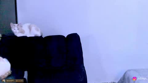 miguel  online show from 11-24-25, 03:06