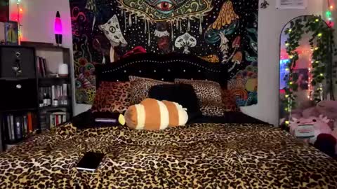 Puddin online show from 01-24-25, 05:53