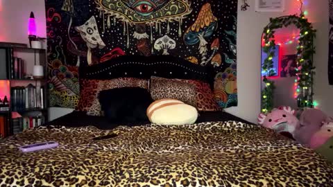 Puddin online show from 02-23-25, 12:37