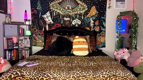 Puddin online show from 02-24-25, 05:54