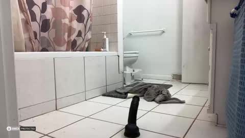 Snapshot of boysetsfire34 chatting on 10-08-25, 05:16 boysetsfire34 online show from 10-08-25, 05:16