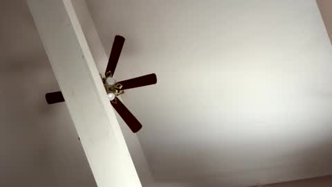 Snapshot of boysetsfire34 chatting on 11-08-25, 05:23 boysetsfire34 online show from 11-08-25, 05:23