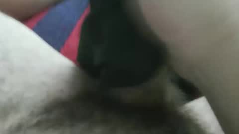 bpllpd online show from 12-23-25, 12:41