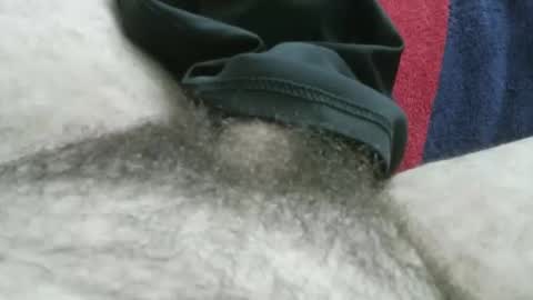 bpllpd online show from 01-11-26, 04:45