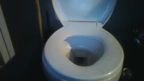 Snapshot of bradynoggle chatting on 01-18-25, 09:55 bradynoggle online show from 01-18-25, 09:55