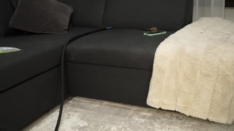 Brandi online show from 12-11-24, 09:01