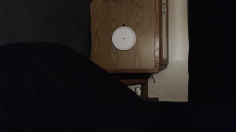 branflakes_ online show from 09-13-25, 02:44