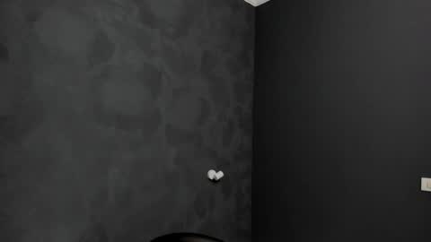 Snapshot of brianhunts chatting on 01-23-25, 05:45 Brian online show from 01-23-25, 05:45