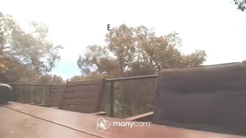 Snapshot of bridie3079 chatting on 10-16-25, 02:01 Fun Monster online show from 10-16-25, 02:01