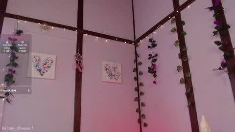 Brie  Ill be away November 2829 and 30. See u on Sunday for more fun online show from 01-04-25, 07:13