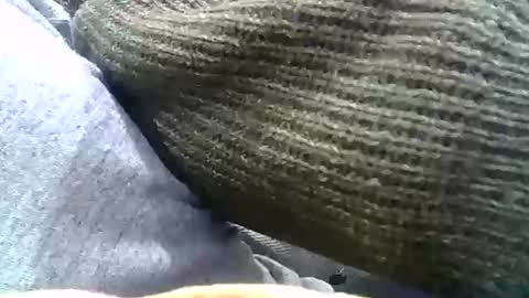 Josh online show from 12-31-24, 02:29