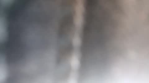 Brittany  online show from 10-26-25, 02:50