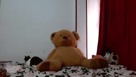 maru miaw   Please help me to reach 100 thumbs up online show from 11-12-25, 03:01