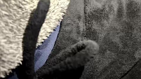 just a broken boy online show from 01-12-26, 07:08