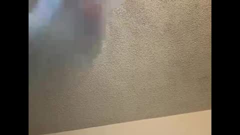 EtherealLilac online show from 03-04-25, 12:07