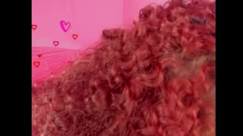 Lady  online show from 02-15-25, 07:39