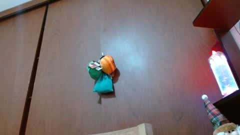 Enjoy the best muscle straws   online show from 02-11-25, 04:24