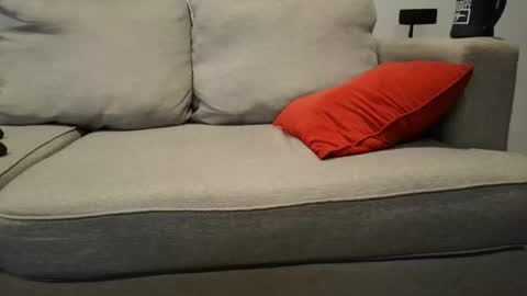 Buck online show from 09-23-25, 02:42