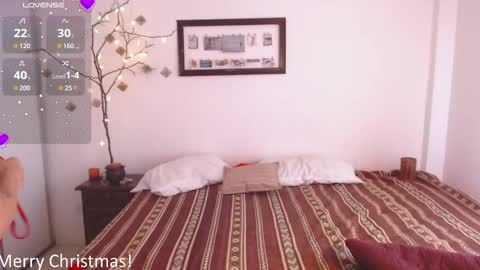 Snapshot of buckwheat_queen chatting on 12-25-24, 09:54 Mira online show from 12-25-24, 09:54