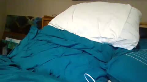 Bud42o online show from 12-11-24, 07:09